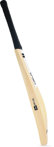 handmade cricket bats: Hitter Pro Edition Side Divider