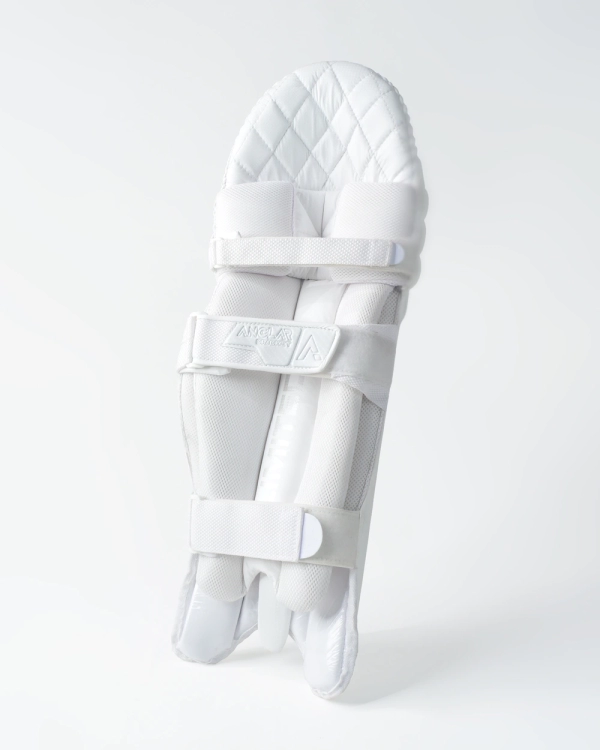 Limited Edition Batting Pads - Image 2