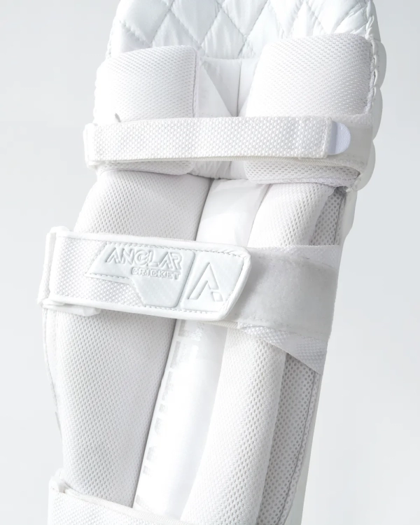 Limited Edition Batting Pads - Image 6