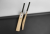 Power Hitter or Stroke Player Pick the Right Leather Bat for Your Game