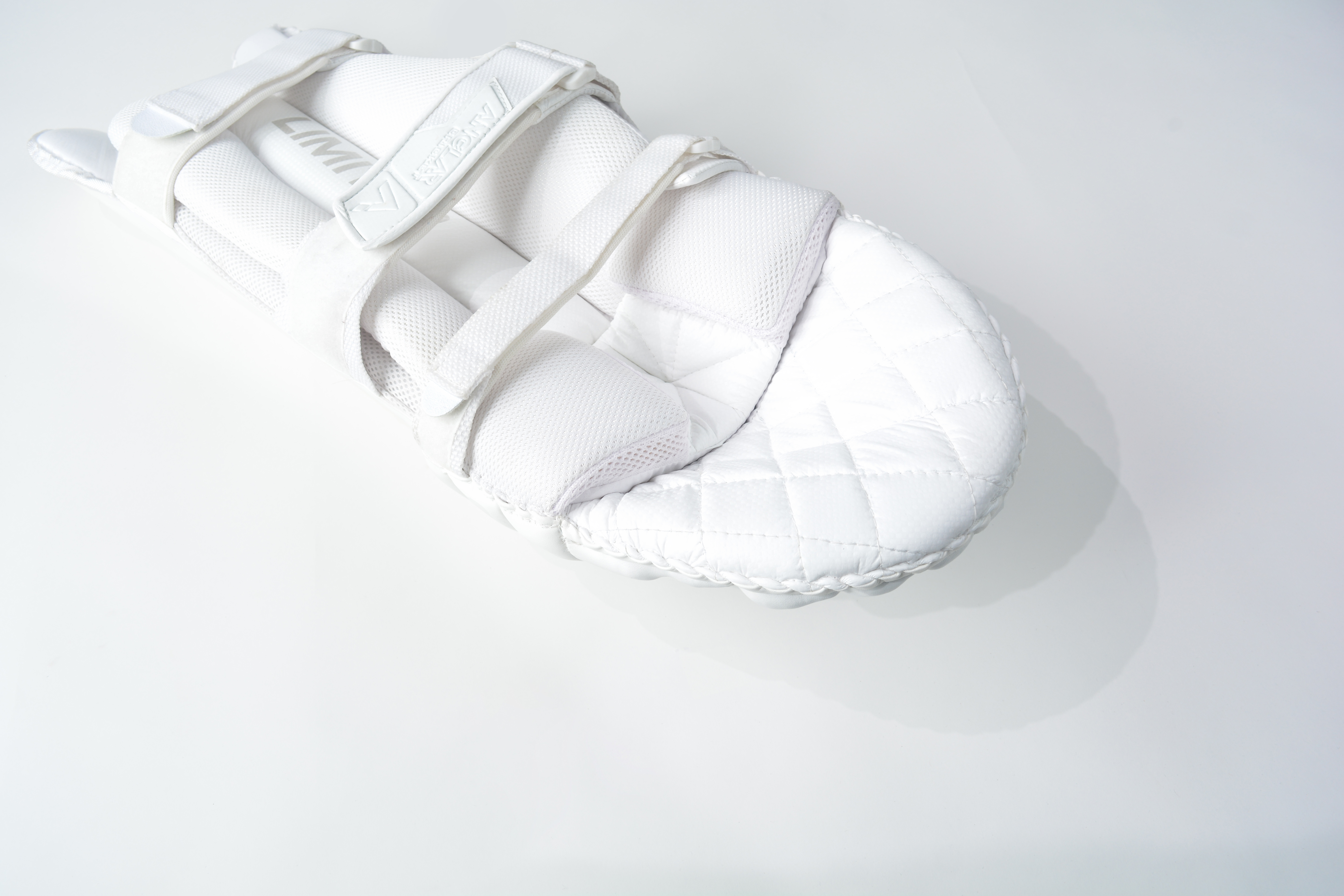 cricket pads